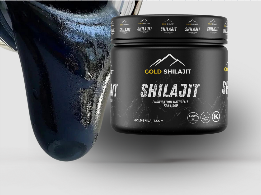 LES BIENFAITS DU SHILAJIT