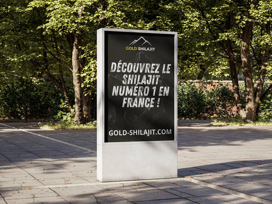 Shilajit en résine ou en gélules : quelle forme choisir ?